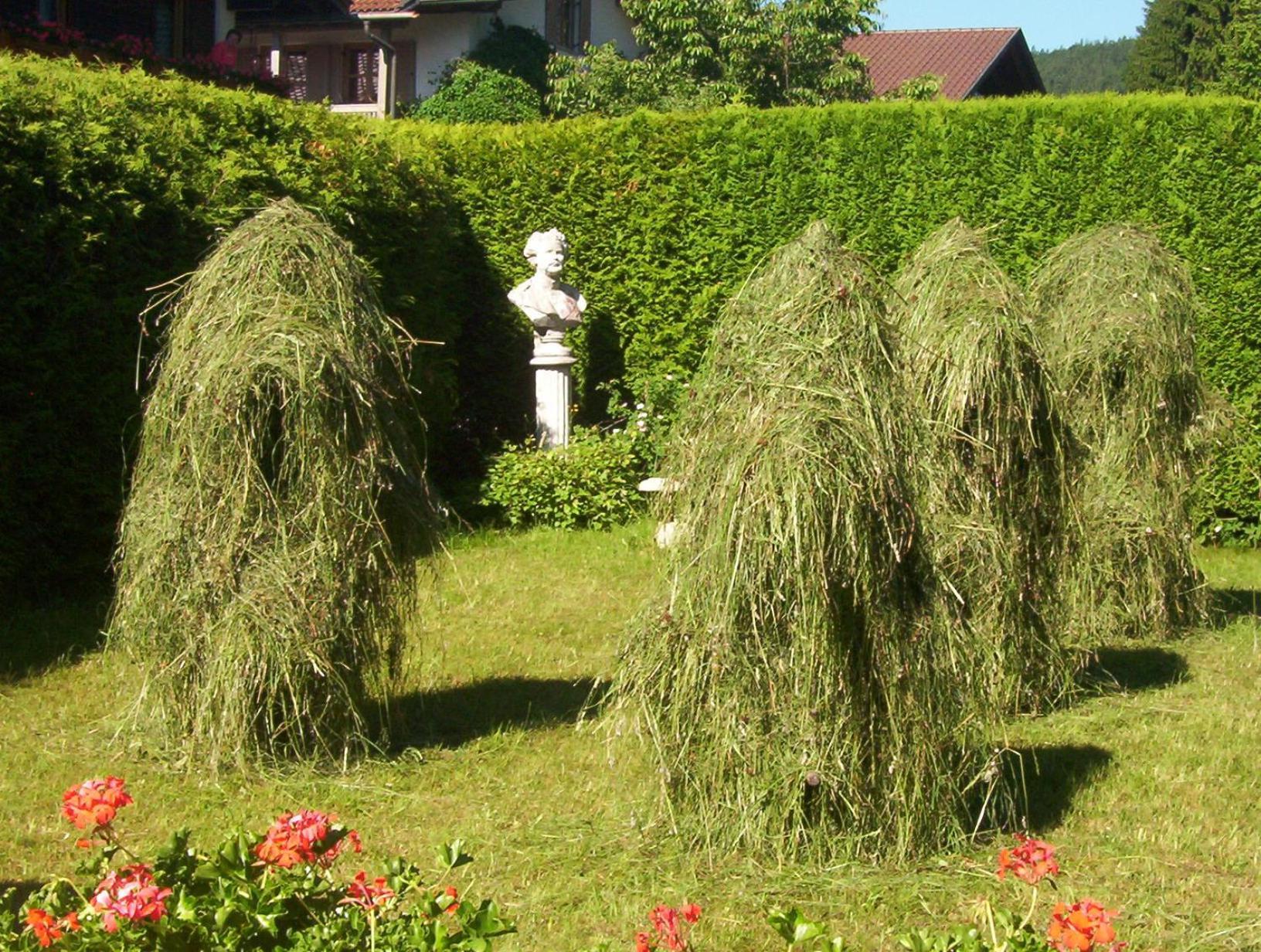 Maison d'hôtes Am Zierwald
